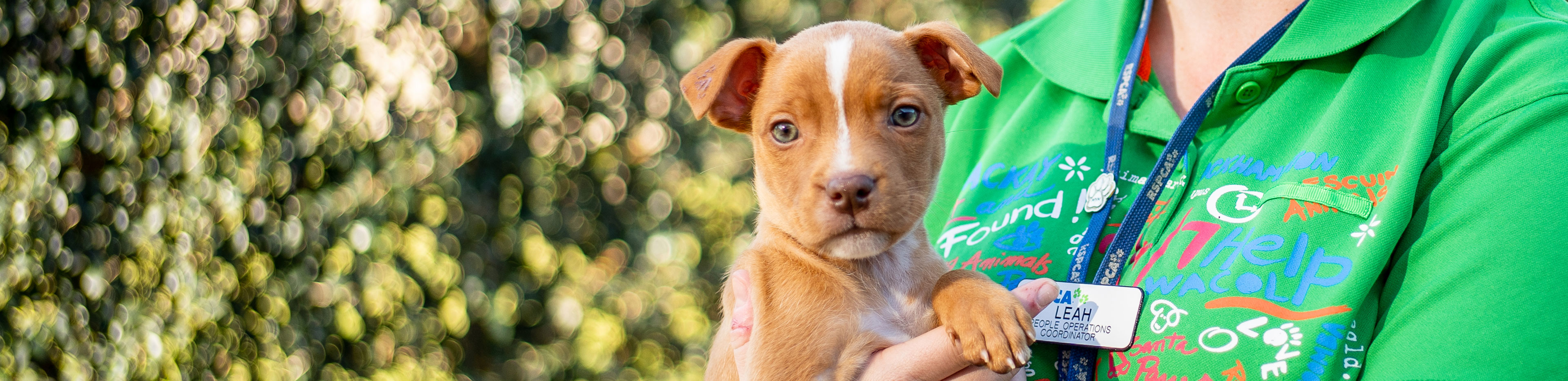 rspca